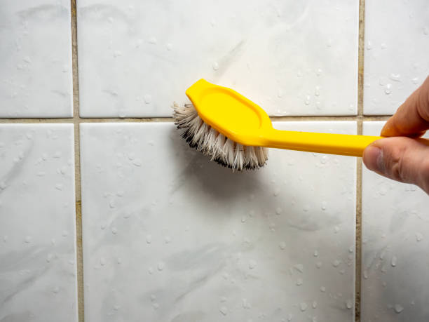 Best Mold Cleaning Services  in Eslon, CA