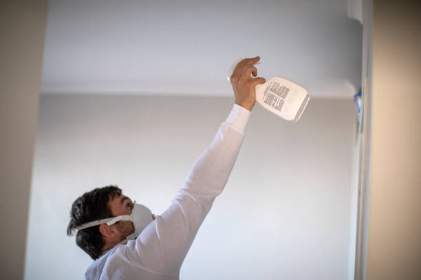 Best Affordable Mold Removal  in Eslon, CA