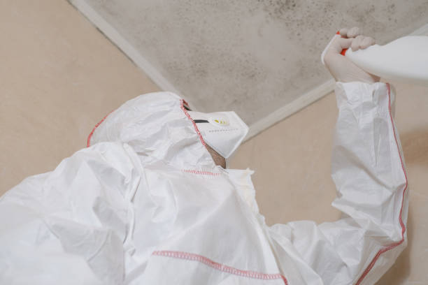 Best Local Mold Removal Service  in Eslon, CA