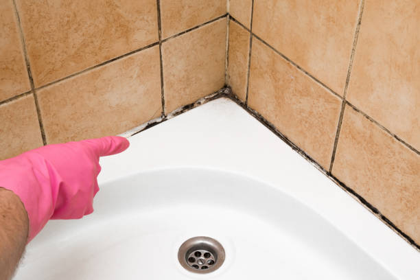 Best Mold Testing  in Eslon, CA